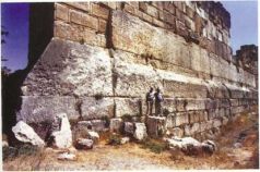 Иллюстрация к книге — Колыбели цивилизаций [auto_fb_img_loader_164.jpg]