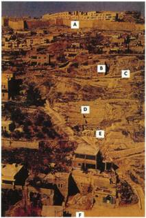 Иллюстрация к книге — Колыбели цивилизаций [auto_fb_img_loader_170.jpg]