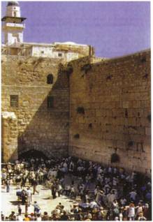 Иллюстрация к книге — Колыбели цивилизаций [auto_fb_img_loader_172.jpg]