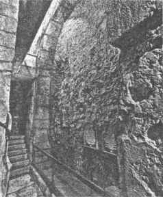 Иллюстрация к книге — Колыбели цивилизаций [auto_fb_img_loader_204.jpg]