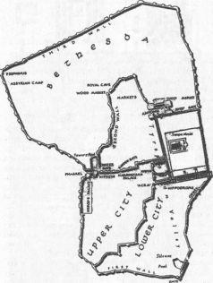 Иллюстрация к книге — Колыбели цивилизаций [auto_fb_img_loader_208.jpg]