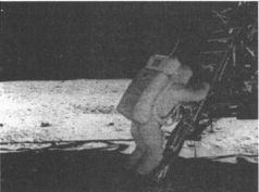 Иллюстрация к книге — Колыбели цивилизаций [auto_fb_img_loader_54.jpg]