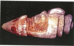 Иллюстрация к книге — Колыбели цивилизаций [auto_fb_img_loader_62.jpg]