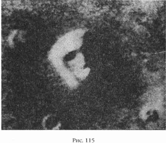 Иллюстрация к книге — Боги Армагеддона [i_116.jpg]