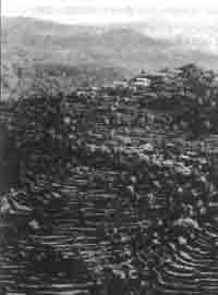 Иллюстрация к книге — Трагическое послание древних [any2fbimgloader109.jpg]