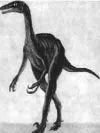 Иллюстрация к книге — Трагическое послание древних [any2fbimgloader133.jpg]