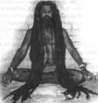 Иллюстрация к книге — Трагическое послание древних [any2fbimgloader138.jpg]