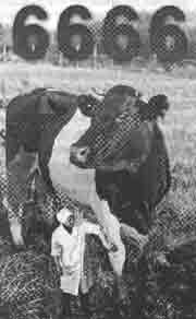 Иллюстрация к книге — Трагическое послание древних [any2fbimgloader181.jpg]