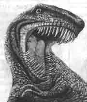 Иллюстрация к книге — Трагическое послание древних [any2fbimgloader200.jpg]