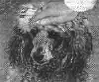 Иллюстрация к книге — Трагическое послание древних [any2fbimgloader216.jpg]