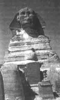 Иллюстрация к книге — Трагическое послание древних [any2fbimgloader4.jpg]