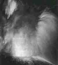 Иллюстрация к книге — Трагическое послание древних [any2fbimgloader88.jpg]