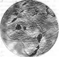 Иллюстрация к книге — Трагическое послание древних [any2fbimgloader98.jpg]