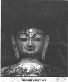 Иллюстрация к книге — Золотые пластины Харати [any2fbimgloader107.jpg]