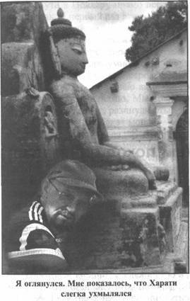 Иллюстрация к книге — Золотые пластины Харати [any2fbimgloader113.jpg]