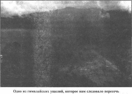 Иллюстрация к книге — Золотые пластины Харати [any2fbimgloader117.jpg]