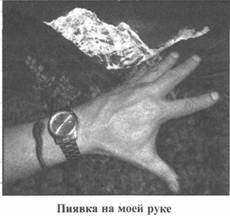 Иллюстрация к книге — Золотые пластины Харати [any2fbimgloader118.jpg]