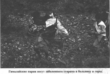 Иллюстрация к книге — Золотые пластины Харати [any2fbimgloader132.jpg]