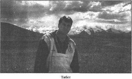 Иллюстрация к книге — Золотые пластины Харати [any2fbimgloader227.jpg]