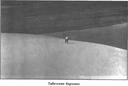 Иллюстрация к книге — Золотые пластины Харати [any2fbimgloader233.jpg]