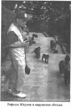 Иллюстрация к книге — Золотые пластины Харати [any2fbimgloader28.jpg]