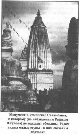 Иллюстрация к книге — Золотые пластины Харати [any2fbimgloader38.jpg]