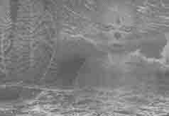 Иллюстрация к книге — Встреча с мастером [any2fbimgloader48.jpg]