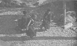 Иллюстрация к книге — Что сказали тибетские ламы [any2fbimgloader31.jpg]