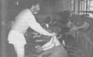 Иллюстрация к книге — Что сказали тибетские ламы [any2fbimgloader5.jpg]