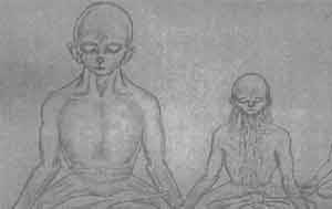 Иллюстрация к книге — Мир сложнее, чем мы думали [any2fbimgloader0.jpg]