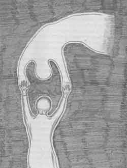 Иллюстрация к книге — Мир сложнее, чем мы думали [any2fbimgloader2.jpg]