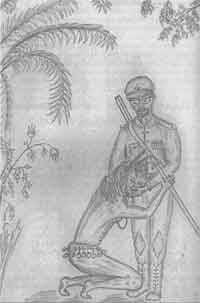 Иллюстрация к книге — Мир сложнее, чем мы думали [any2fbimgloader5.jpg]