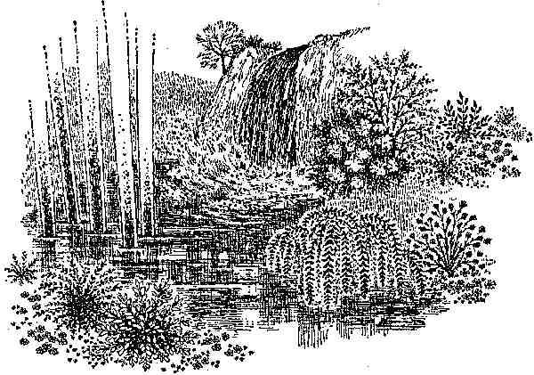 Иллюстрация к книге — Чарли и Шоколадная фабрика [i_023.jpg]