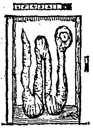 Иллюстрация к книге — Чарли и Большой стеклянный подъемник [i_020.jpg]