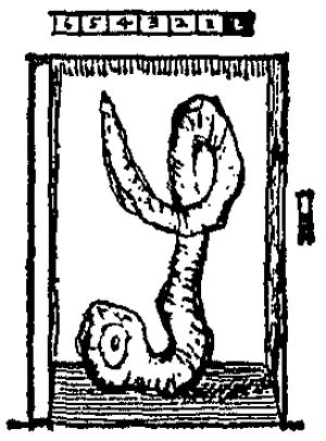 Иллюстрация к книге — Чарли и Большой стеклянный подъемник [i_021.jpg]