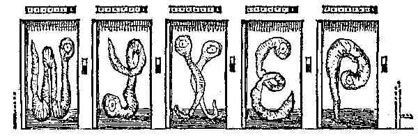 Иллюстрация к книге — Чарли и Большой стеклянный подъемник [i_022.jpg]