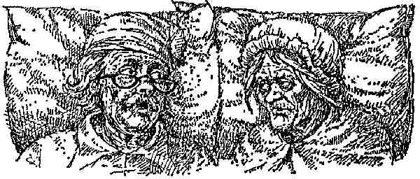 Иллюстрация к книге — Чарли и Большой стеклянный подъемник [i_048.jpg]