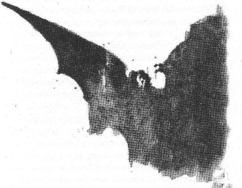 Иллюстрация к книге — Retrum. Когда мы были мертвыми [img_3.jpeg]