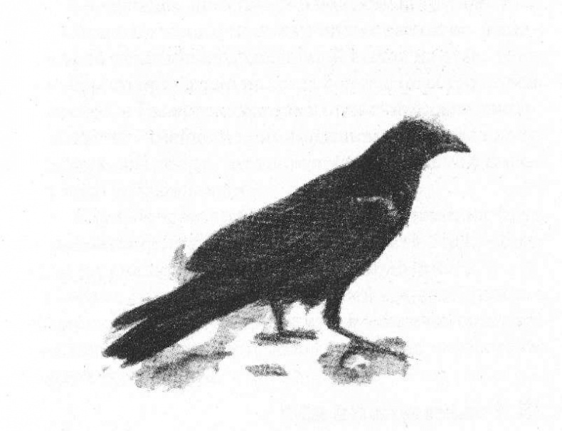 Иллюстрация к книге — Retrum. Когда мы были мертвыми [img_5.jpeg]