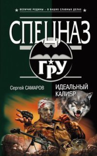 Книга Идеальный калибр