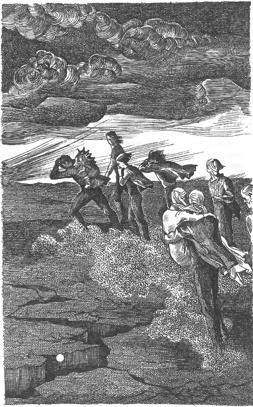 Иллюстрация к книге — Лес потерянных [image09.jpg]