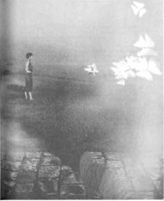 Иллюстрация к книге — Архитектор снов [pic_12.jpg]