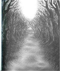 Иллюстрация к книге — Архитектор снов [pic_21.jpg]