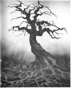 Иллюстрация к книге — Архитектор снов [pic_7.jpg]