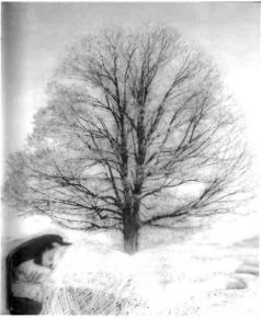 Иллюстрация к книге — Архитектор снов [pic_8.jpg]