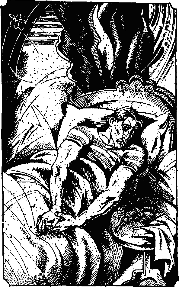 Иллюстрация к книге — Жюв против Фантомаса [_8.png]