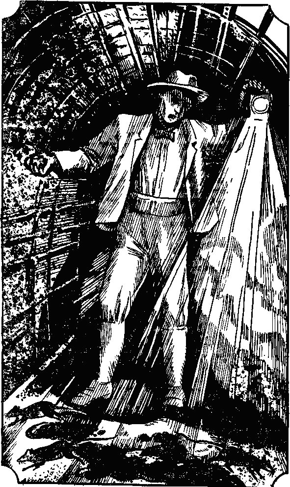 Иллюстрация к книге — Месть Фантомаса [_3.png]