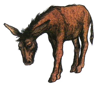 Иллюстрация к книге — Цирк в шкатулке [i_004.png]