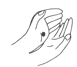 Иллюстрация к книге — Книжный вор [i_027.png]