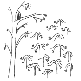 Иллюстрация к книге — Книжный вор [i_034.png]